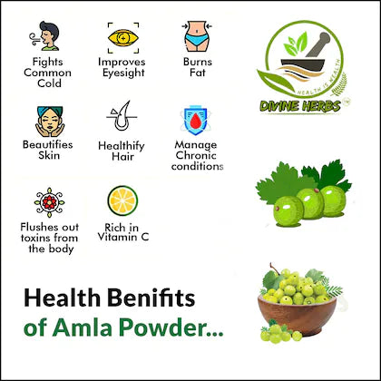 Amla Powder Promotes Immune Power