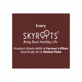 SkyRoots