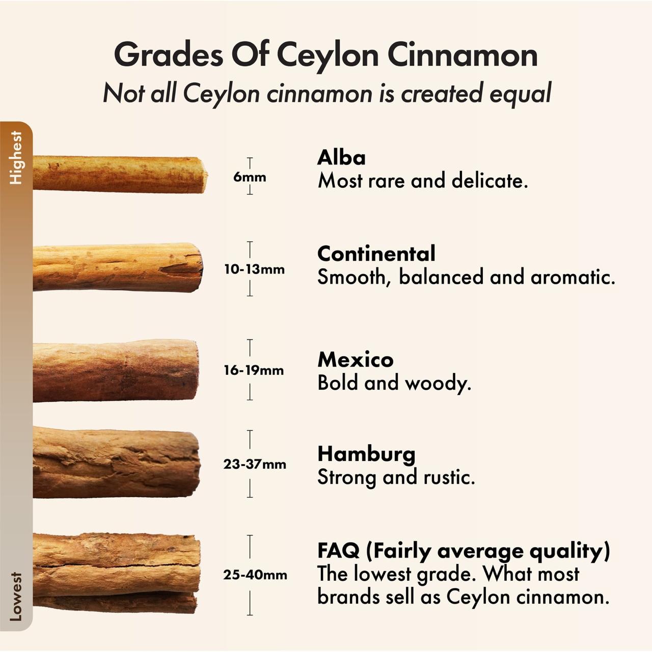 Alba Cinnamon