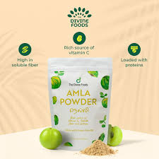 Amla Powder Promotes Immune Power